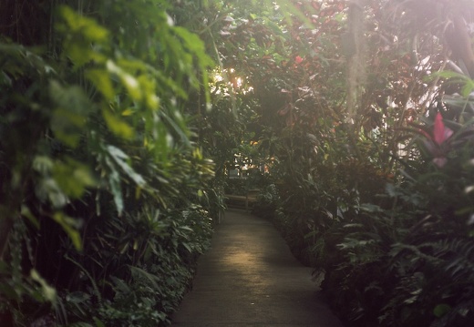 Krohn Conservatory